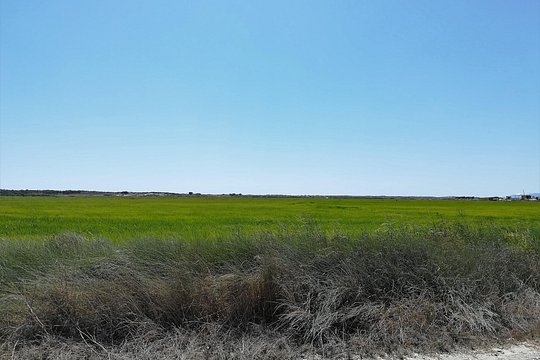 Tour image 5