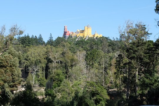 Tour image 13