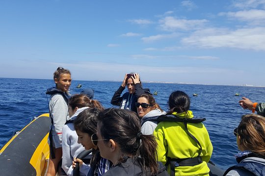 Tour image 12