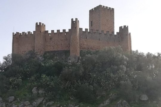 Tour image 13