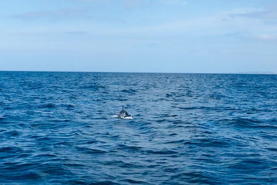 Tour image 10