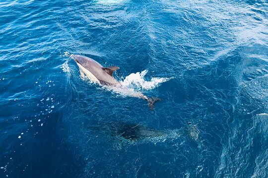 Tour image 12