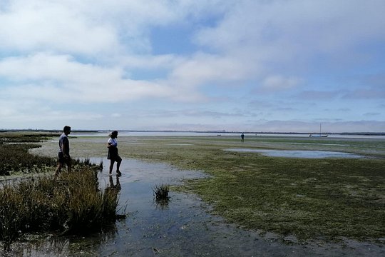Tour image 6