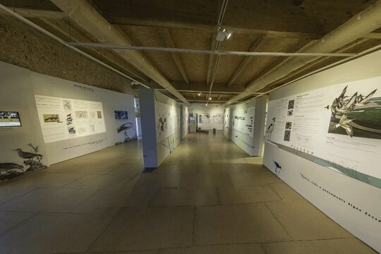 Tour image 8