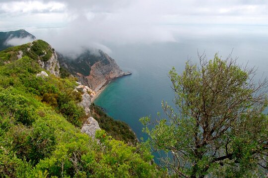 Tour image 1