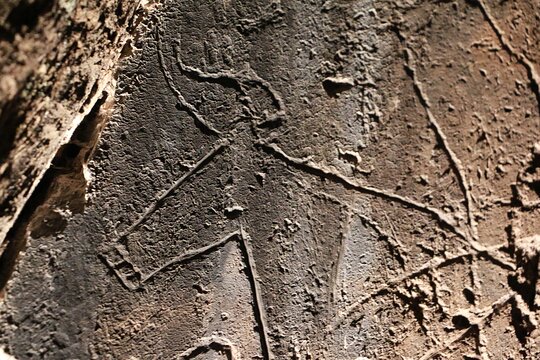 Tour image 6