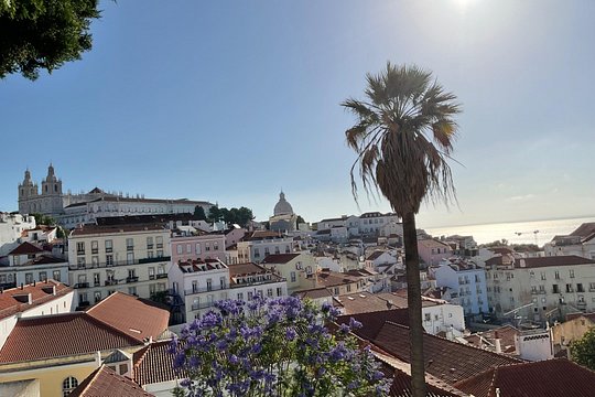 Tour image 9